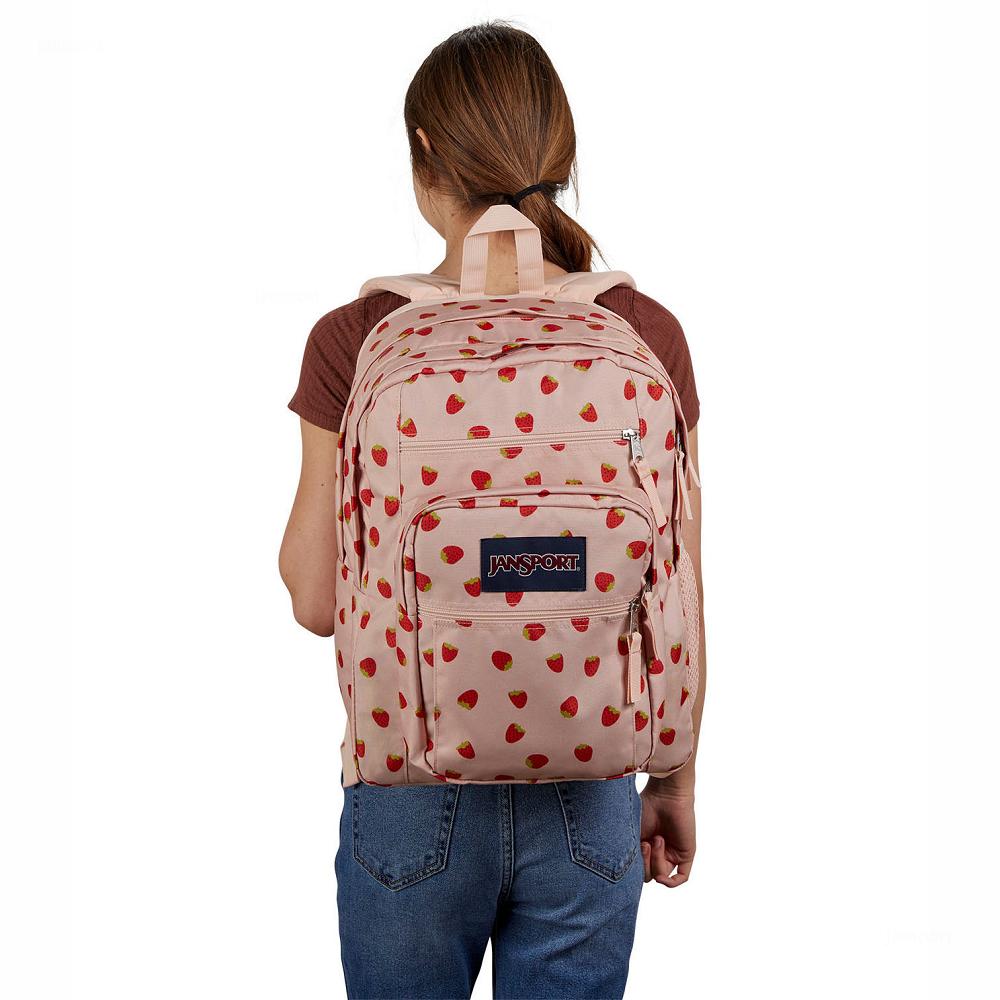 Zaini Porta PC JanSport BIG STUDENT Rosa Rosse | IT_JS471