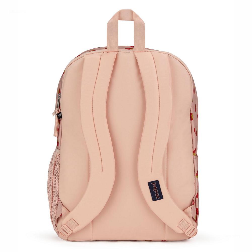 Zaini Porta PC JanSport BIG STUDENT Rosa Rosse | IT_JS471