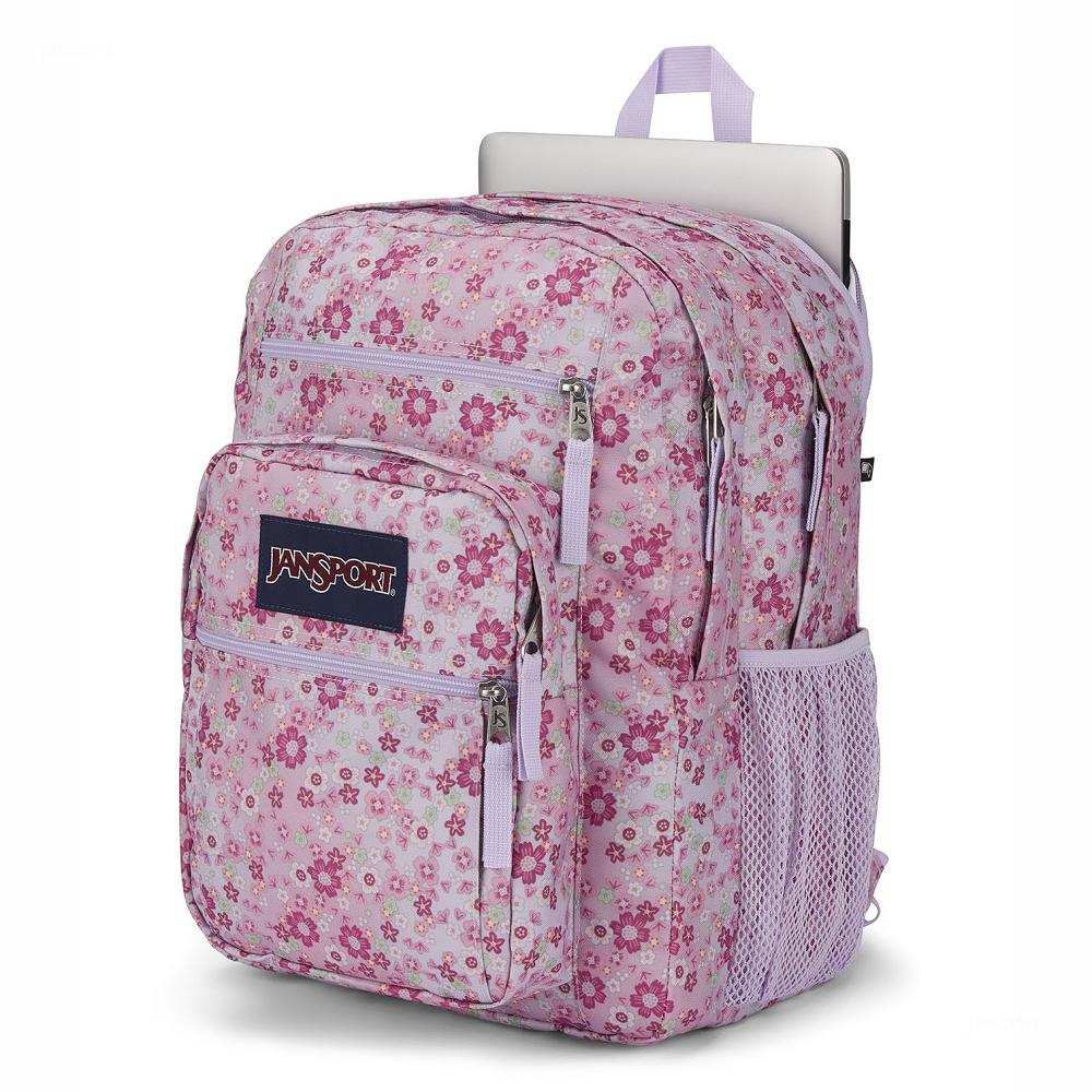 Zaini Porta PC JanSport BIG STUDENT Rosa | IT_JS542