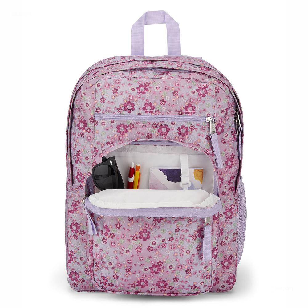 Zaini Porta PC JanSport BIG STUDENT Rosa | IT_JS542