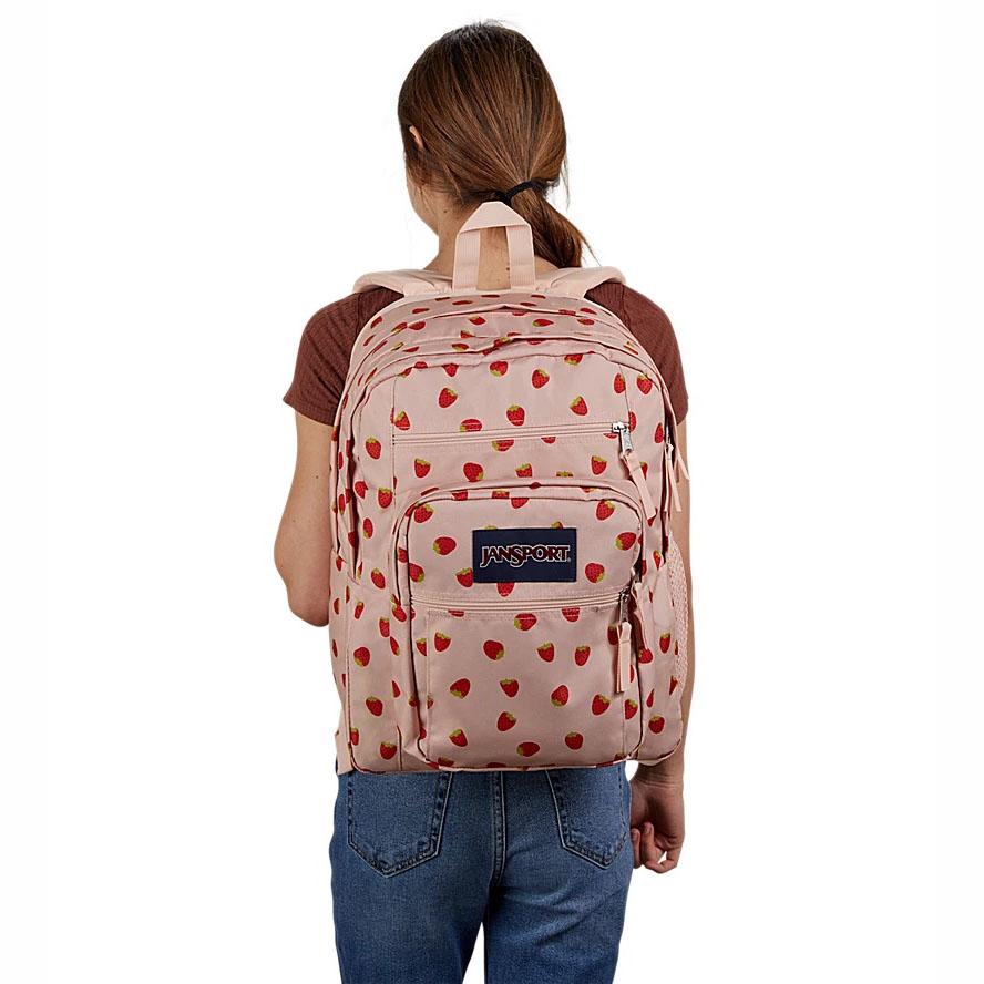 Zaini Porta PC JanSport BIG STUDENT Rosa | IT_JS573