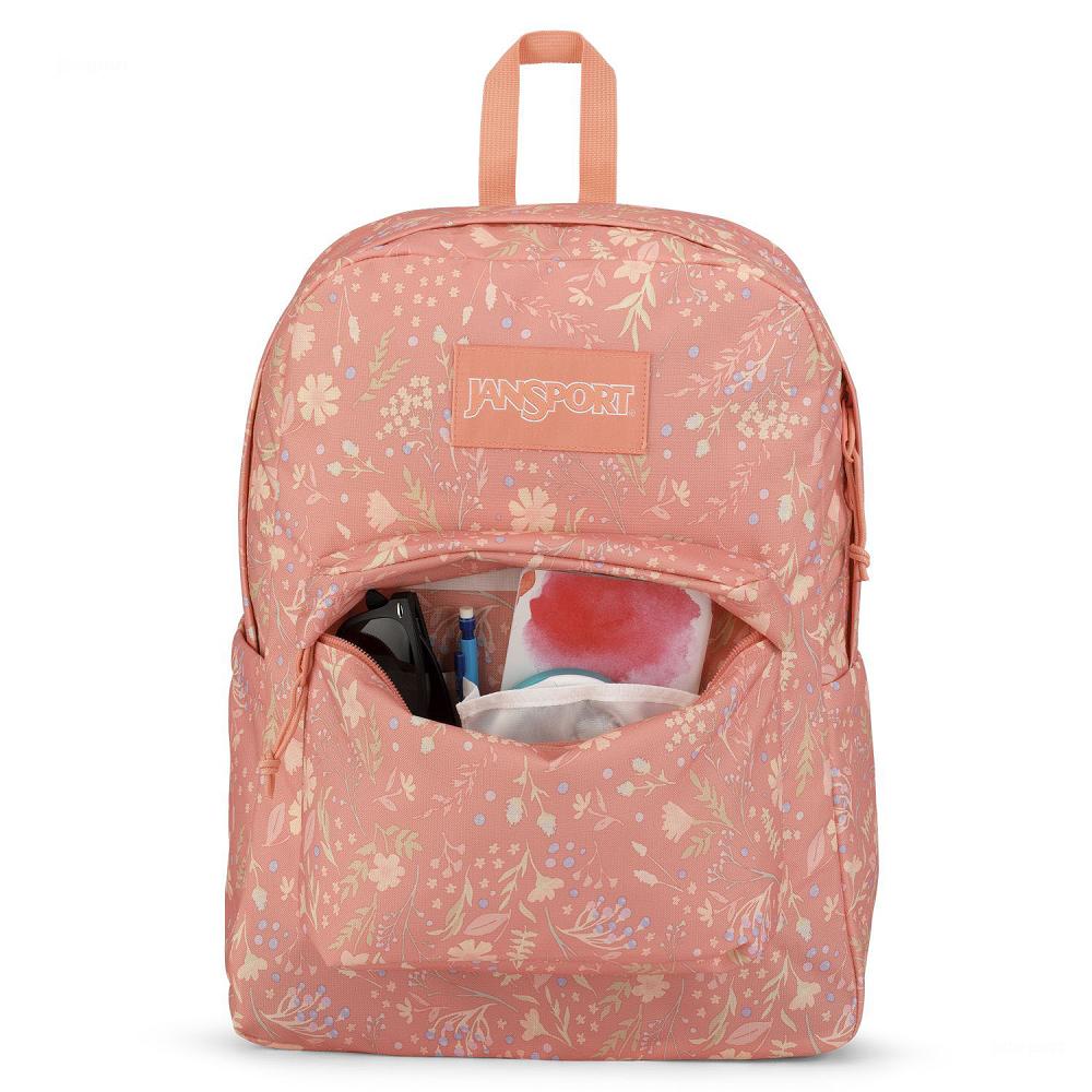 Zaini Porta PC JanSport SuperBreak® Plus Rosa | IT_JS527