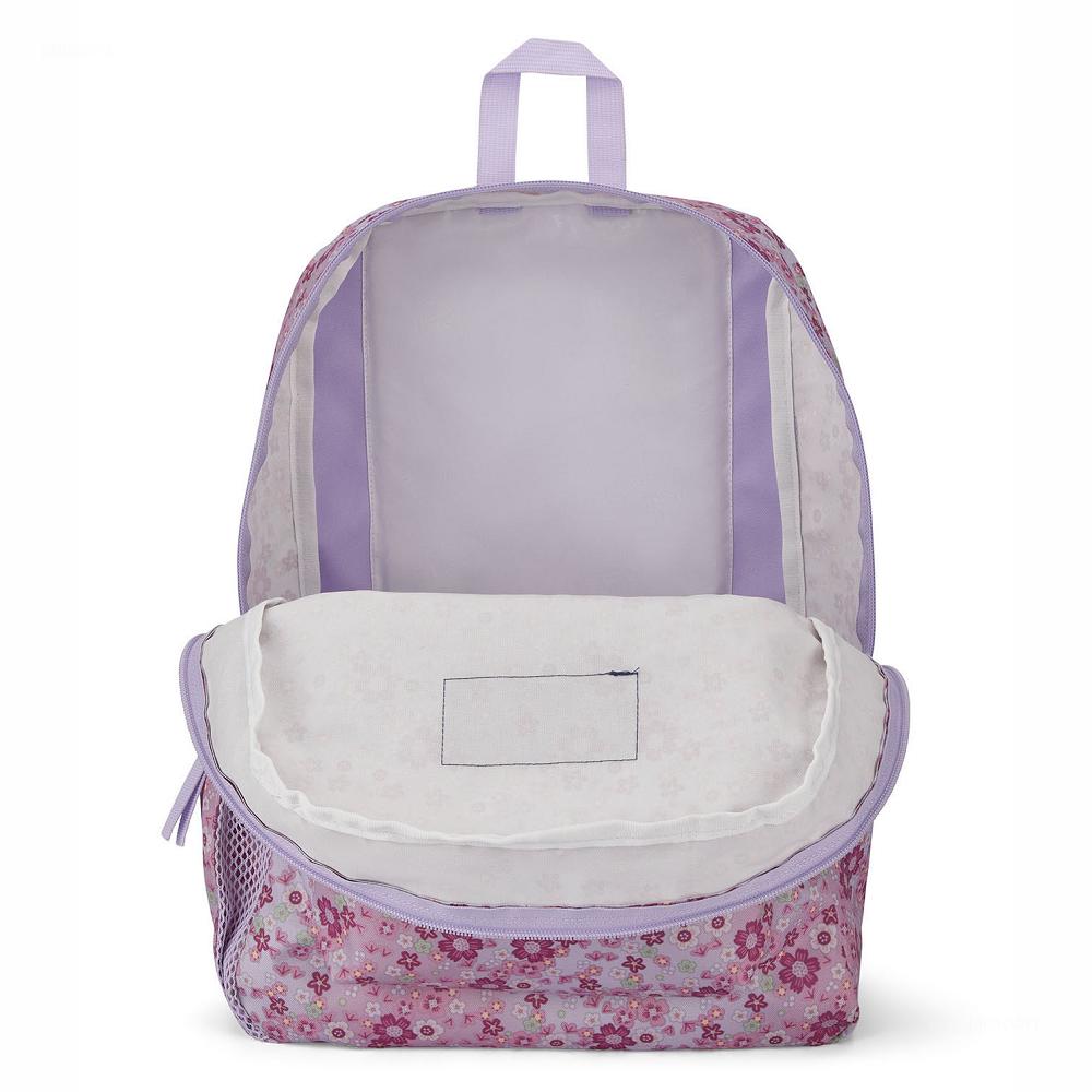 Zaini Scuola JanSport CROSS TOWN Rosa | IT_JS519