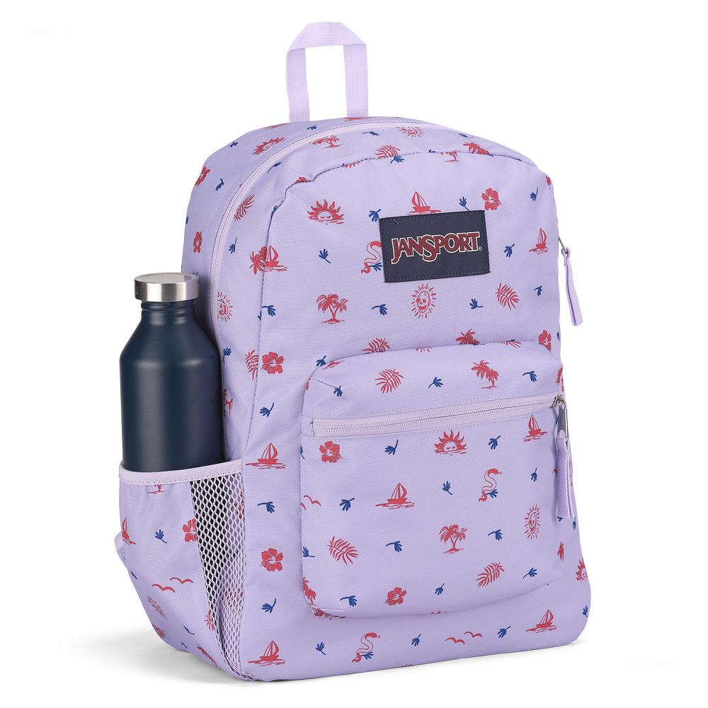 Zaini Scuola JanSport CROSS TOWN Viola Chiaro | IT_JS349