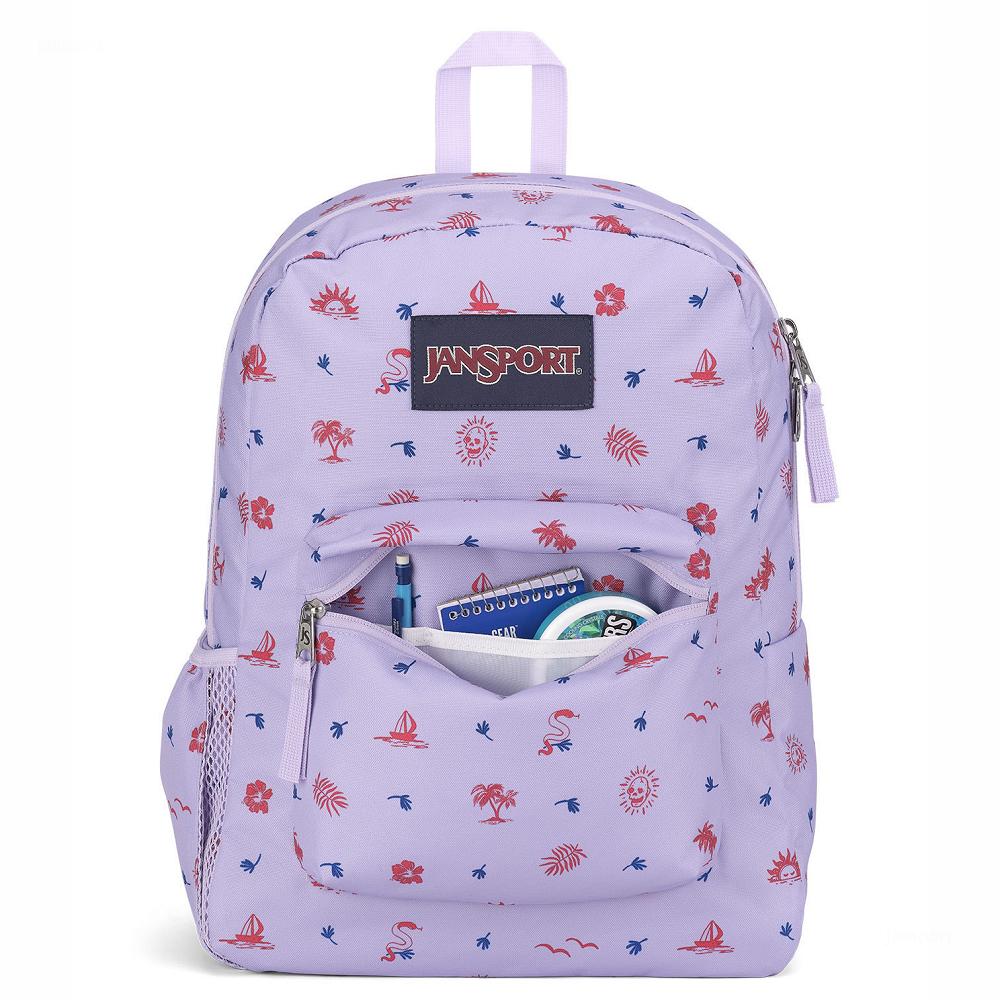 Zaini Scuola JanSport CROSS TOWN Viola Chiaro | IT_JS349