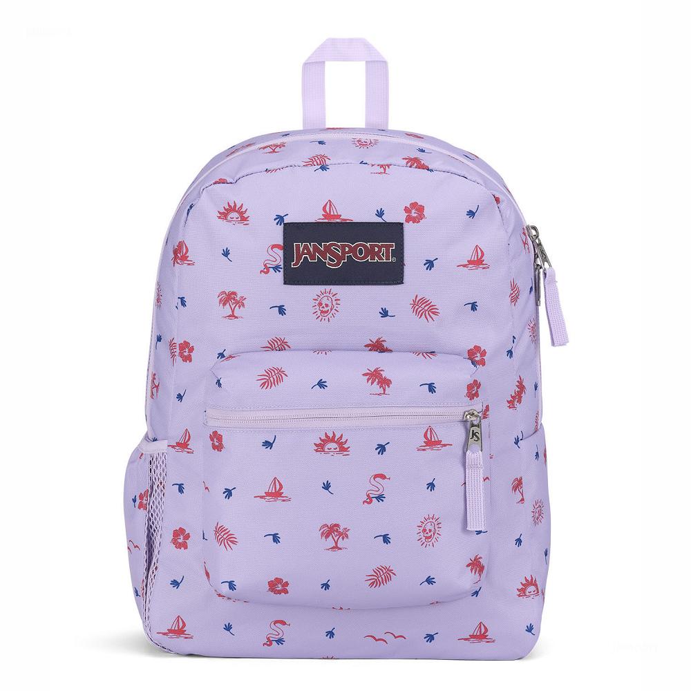 Zaini Scuola JanSport CROSS TOWN Viola Chiaro | IT_JS349