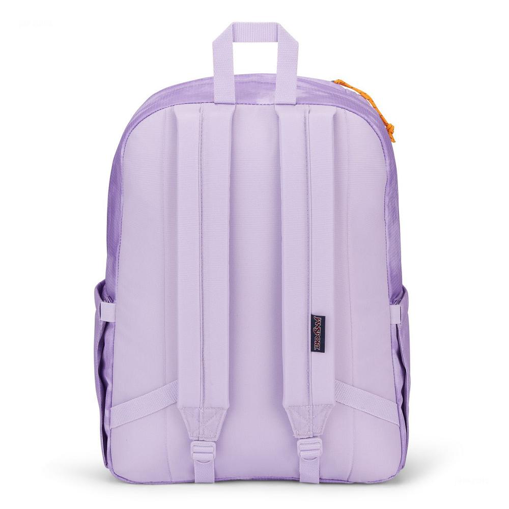 Zaini Scuola JanSport Double Break Viola | IT_JS478