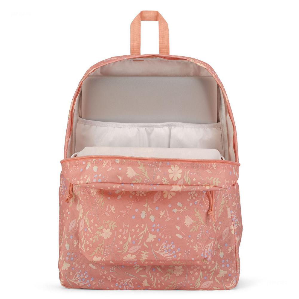 Zaini Scuola JanSport SuperBreak® Plus Rosa | IT_JS0A10