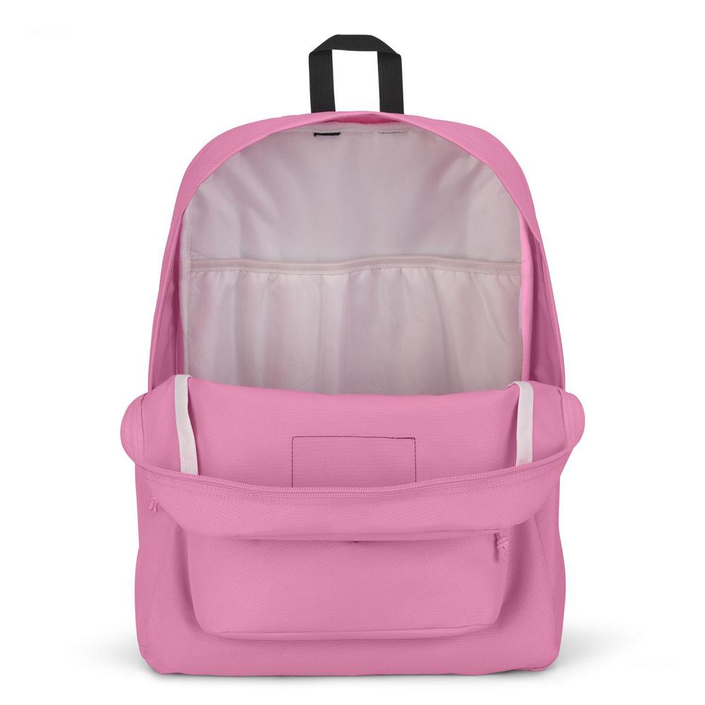 Zaini Scuola JanSport SuperBreak® Plus Rosa | IT_JS190